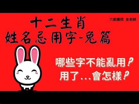 8劃的字屬兔